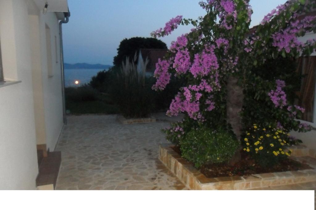Apartments Nada Zadar Værelse billede